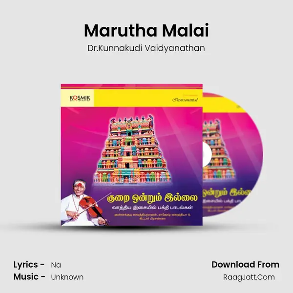 Marutha Malai MP3 Song by Dr.Kunnakudi Vaidyanathan Cover