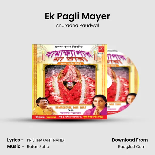 Ek Pagli Mayer MP3 Song by Anuradha Paudwal Cover