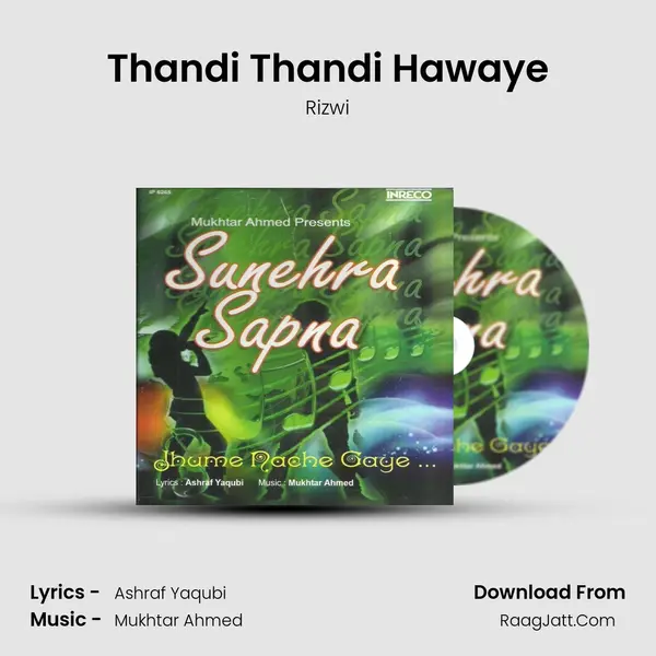 Thandi Thandi Hawaye MP3 Song by Rizwi Cover