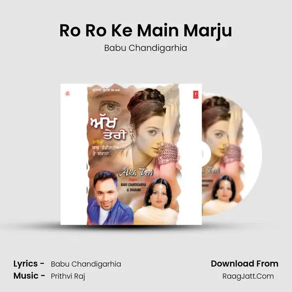Ro Ro Ke Main Marju MP3 Song by Babu Chandigarhia Cover