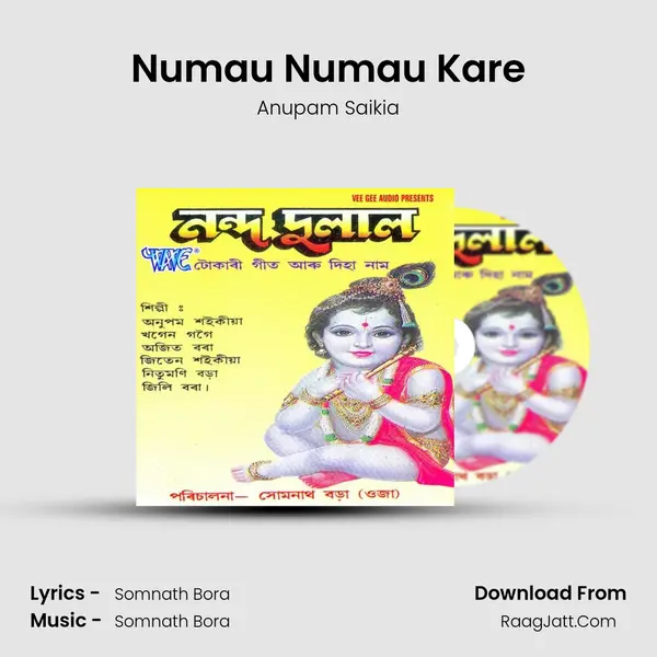 Numau Numau Kare MP3 Song by Anupam Saikia Cover