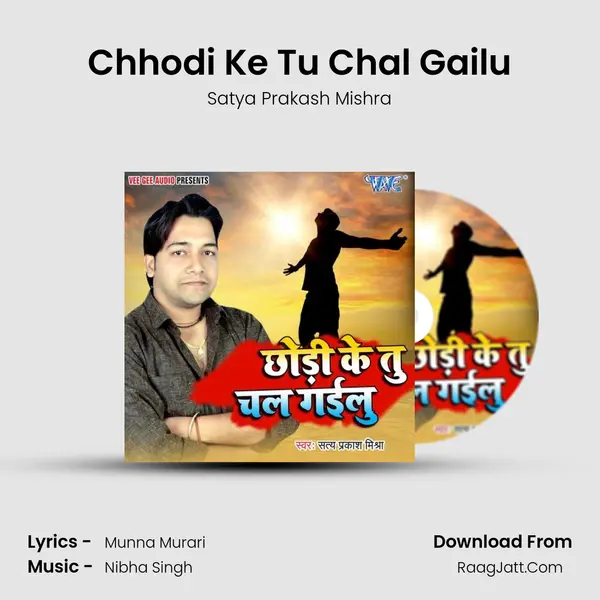 Chhodi Ke Tu Chal Gailu mp3 song