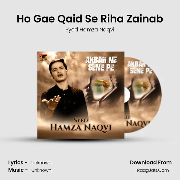 Ho Gae Qaid Se Riha Zainab MP3 Song by Syed Hamza Naqvi Cover