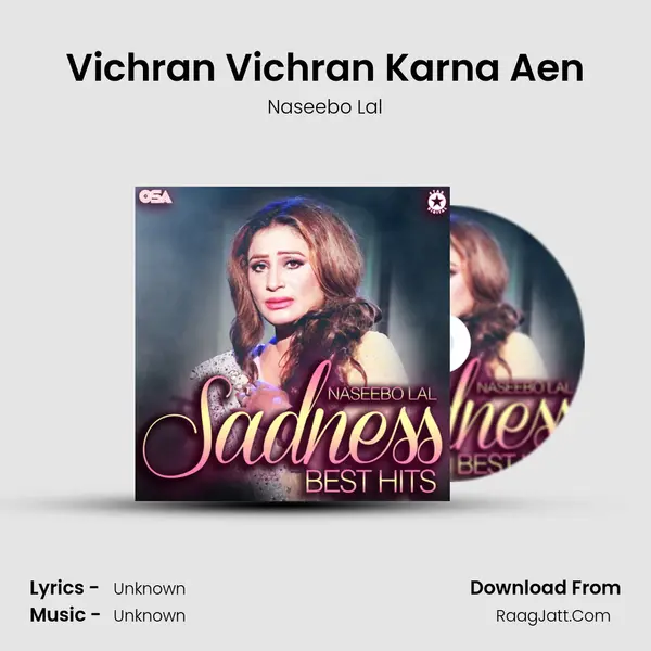 Vichran Vichran Karna Aen MP3 Song by Naseebo Lal Cover