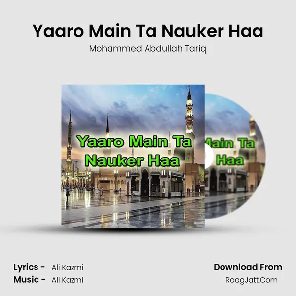 Yaaro Main Ta Nauker Haa mp3 song