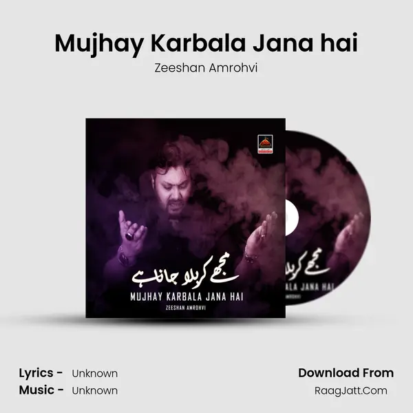 Mujhay Karbala Jana hai MP3 Song by Zeeshan Amrohvi Cover