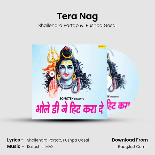 Tera Nag MP3 Song by Shailendra Partap Cover