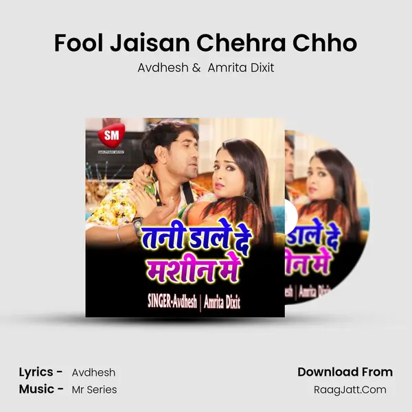 Fool Jaisan Chehra Chho mp3 song