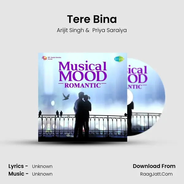 Tere Bina Cover