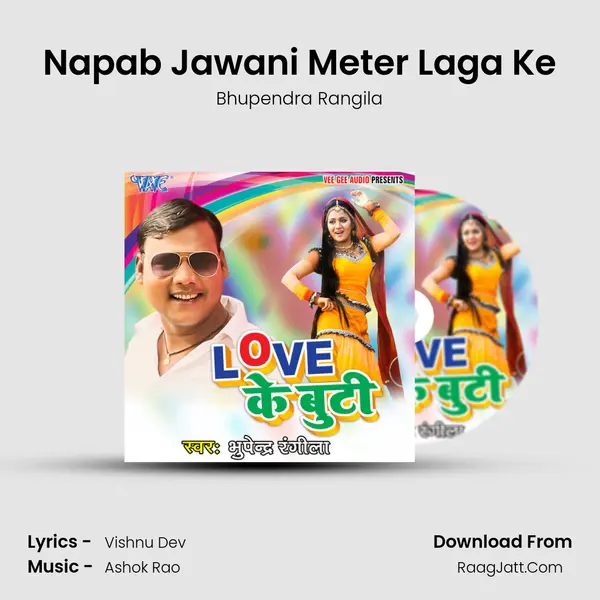 Napab Jawani Meter Laga Ke MP3 Song by Bhupendra Rangila Cover