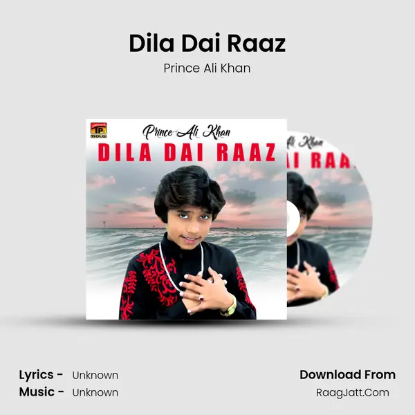 Dila Dai Raaz MP3 Song by Prince Ali Khan Cover
