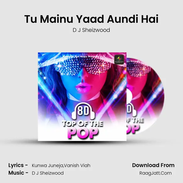 Tu Mainu Yaad Aundi Hai MP3 Song by D J Sheizwood Cover