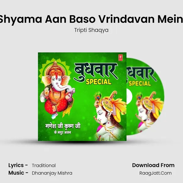 Shyama Aan Baso Vrindavan Mein (From "Kabhi Ram Banke Kabhi Shyam Banke") Cover