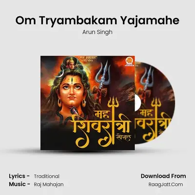 Om Tryambakam Yajamahe Cover
