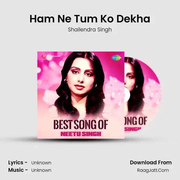 Ham Ne Tum Ko Dekha Cover