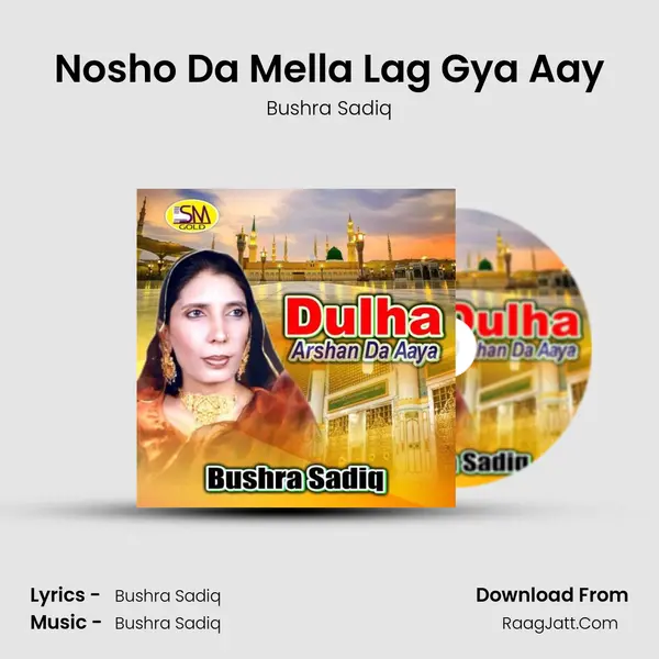 Nosho Da Mella Lag Gya Aay mp3 song
