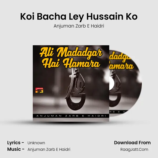 Koi Bacha Ley Hussain Ko MP3 Song by Anjuman Zarb E Haidri Cover