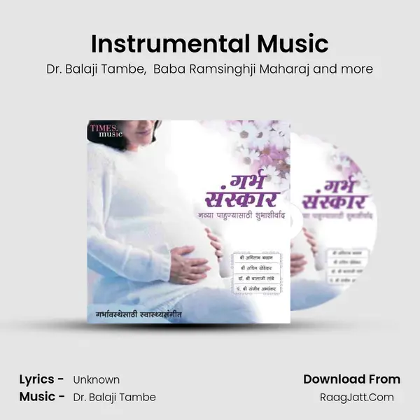 Instrumental Music MP3 Song by Dr. Balaji Tambe Cover