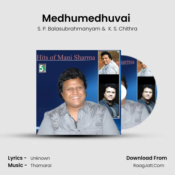 Medhumedhuvai (From "Jai") Cover