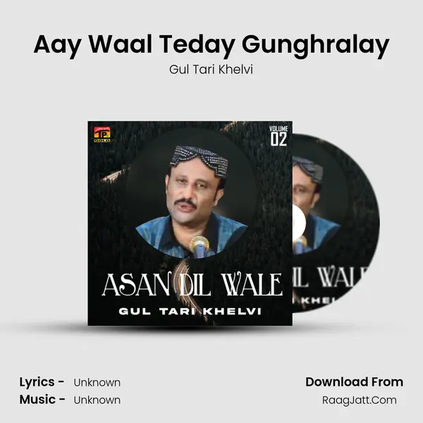 Aay Waal Teday Gunghralay MP3 Song by Gul Tari Khelvi Cover