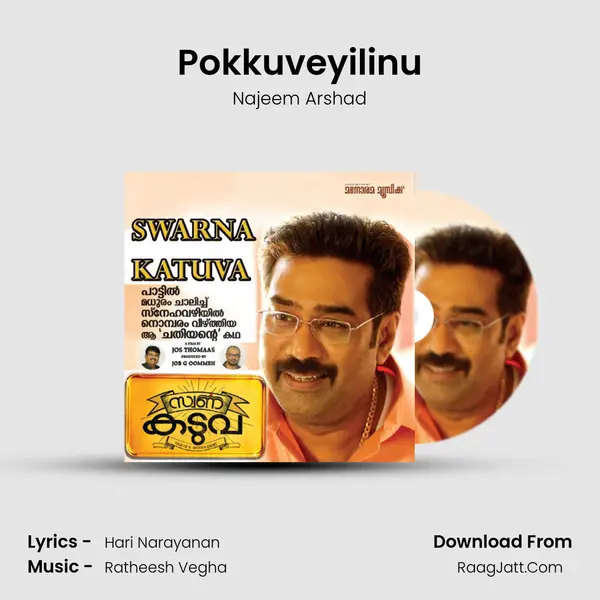 Pokkuveyilinu MP3 Song by Najeem Arshad Cover