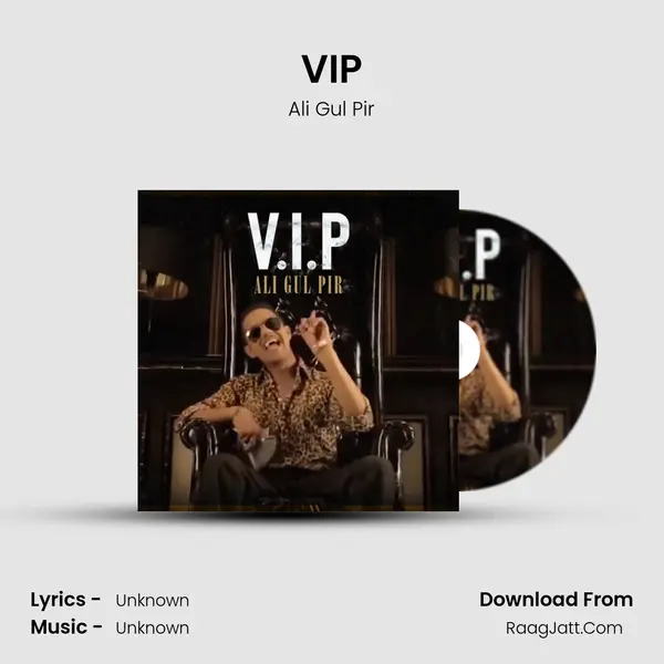Vip - Ali Gul Pir
