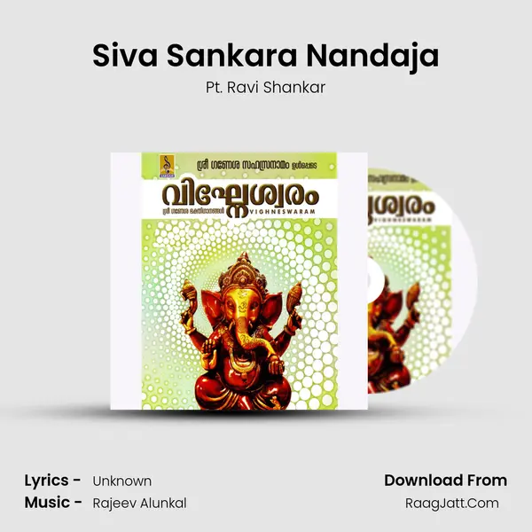 Siva Sankara Nandaja MP3 Song by Pt. Ravi Shankar Cover