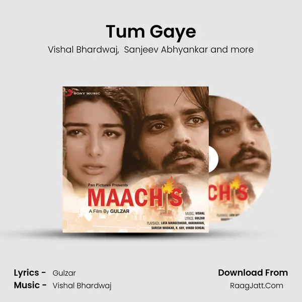 Tum Gaye MP3 Song by Vishal Bhardwaj Cover