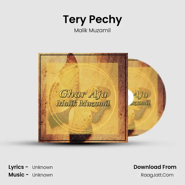 Tery Pechy MP3 Song by Malik Muzamil Cover
