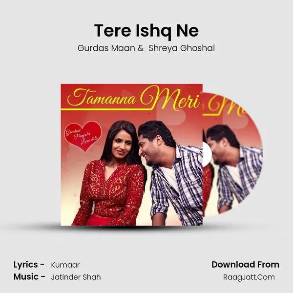 Tere Ishq Ne Cover