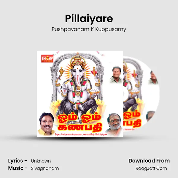 Pillaiyare MP3 Song by Pushpavanam K Kuppusamy Cover