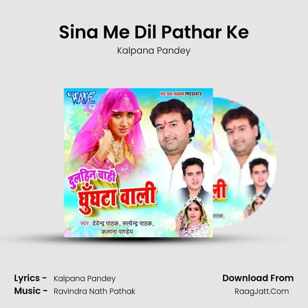 Sina Me Dil Pathar Ke MP3 Song by Kalpana Pandey Cover