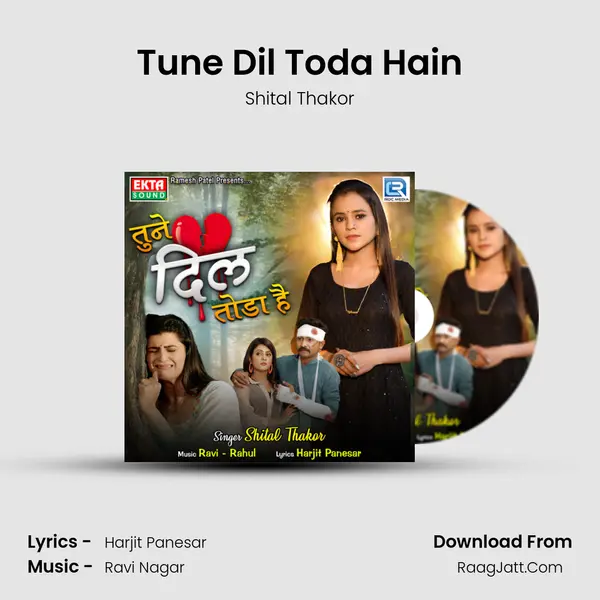 Tune Dil Toda Hain mp3 song
