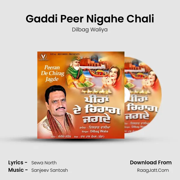 Gaddi Peer Nigahe Chali Cover
