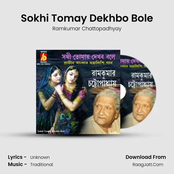 Sokhi Tomay Dekhbo Bole mp3 song