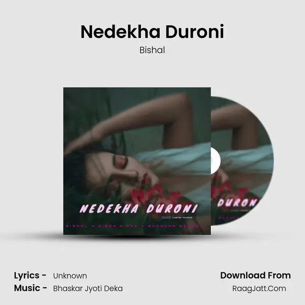 Nedekha Duroni MP3 Song by Bishal Cover
