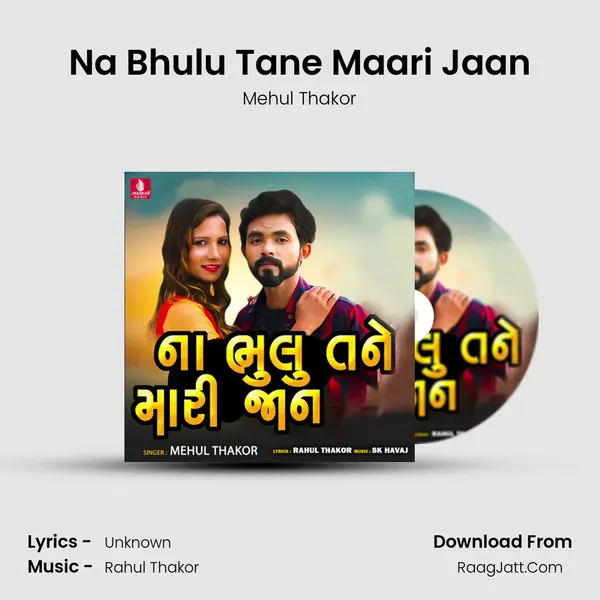 Na Bhulu Tane Maari Jaan MP3 Song by Mehul Thakor Cover