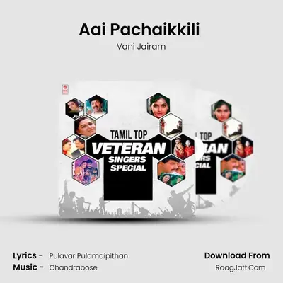 Aai Pachaikkili (From "Anna Nagar Modul Theru") Cover