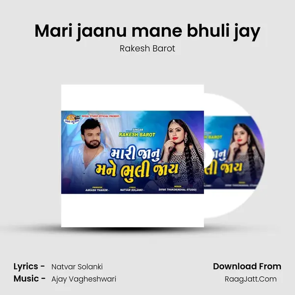Mari jaanu mane bhuli jay - Rakesh Barot