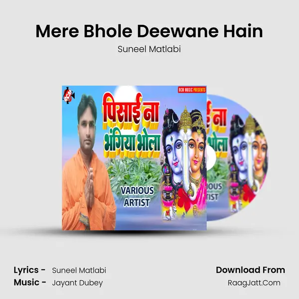Mere Bhole Deewane Hain MP3 Song by Suneel Matlabi Cover