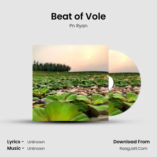 Beat of Vole MP3 Song by Pn Ryan Cover