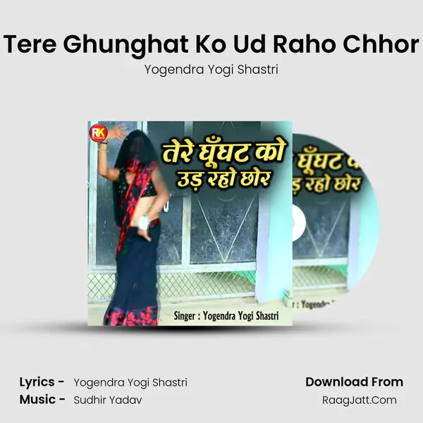 Tere Ghunghat Ko Ud Raho Chhor mp3 song
