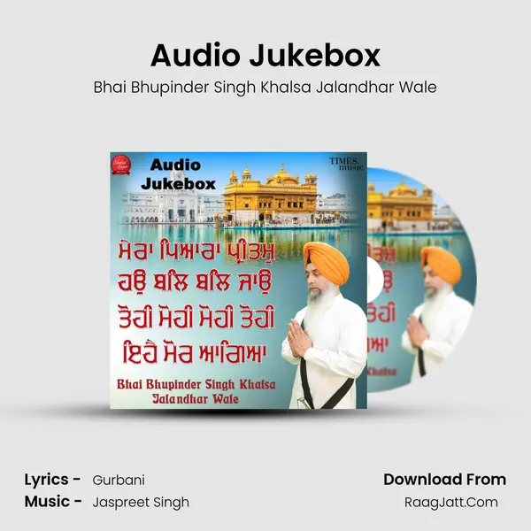 Audio Jukebox Cover