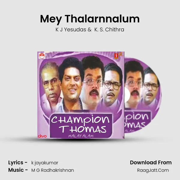 Mey Thalarnnalum MP3 Song by K J Yesudas Cover