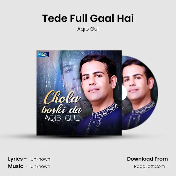Tede Full Gaal Hai mp3 song