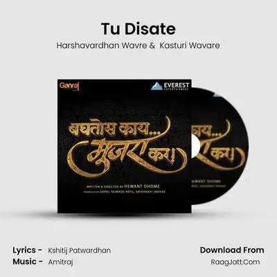 Tu Disate MP3 Song by Harshavardhan Wavre Cover