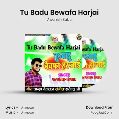 Tu Badu Bewafa Harjai MP3 Song by Awanish Babu Cover