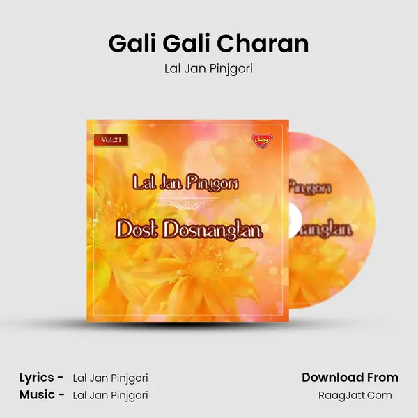 Gali Gali Charan MP3 Song by Lal Jan Pinjgori Cover