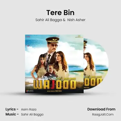 Tere Bin MP3 Song by Sahir Ali Bagga Cover