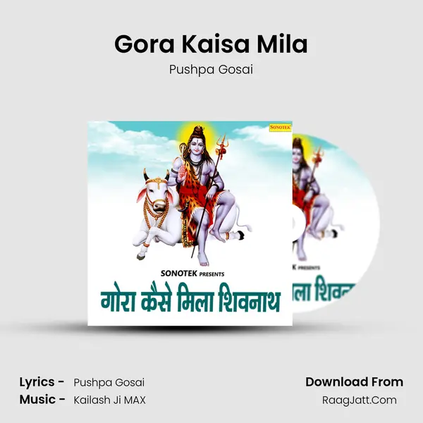 Gora Kaisa Mila MP3 Song by Pushpa Gosai Cover